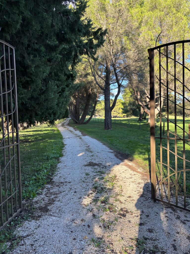Maison meublée de 63 m² à Fontvieille – Maison meublée 63 m² avec jardin à Fontvieille – photo 19