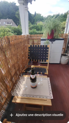 Appartement Belle Époque dans un manoir + terrasse+parking – Honfleur — photo 3