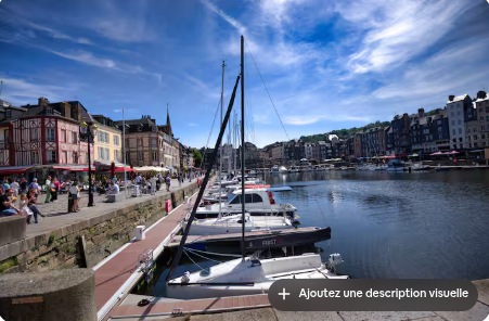 Appartement Belle Époque dans un manoir + terrasse+parking – Honfleur — photo 15