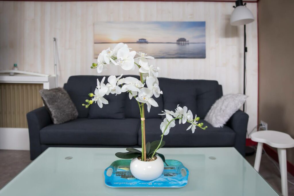 Appartement meublé de 50 m² à Andernos-les-Bains – Appartement T2 rénové avec terrasse – Andernos-les-Bains – photo 6