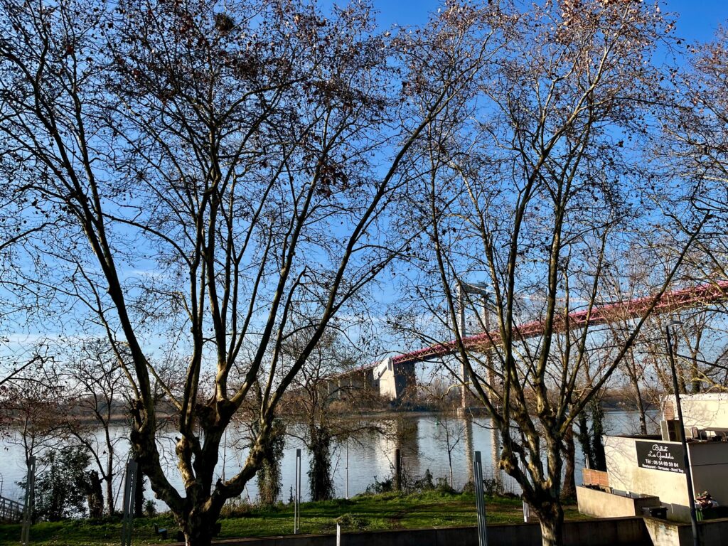 Appartement meublé de 85 m² à Lormont – Appartement meublé avec terrasse et vue Garonne – Lormont – photo 12