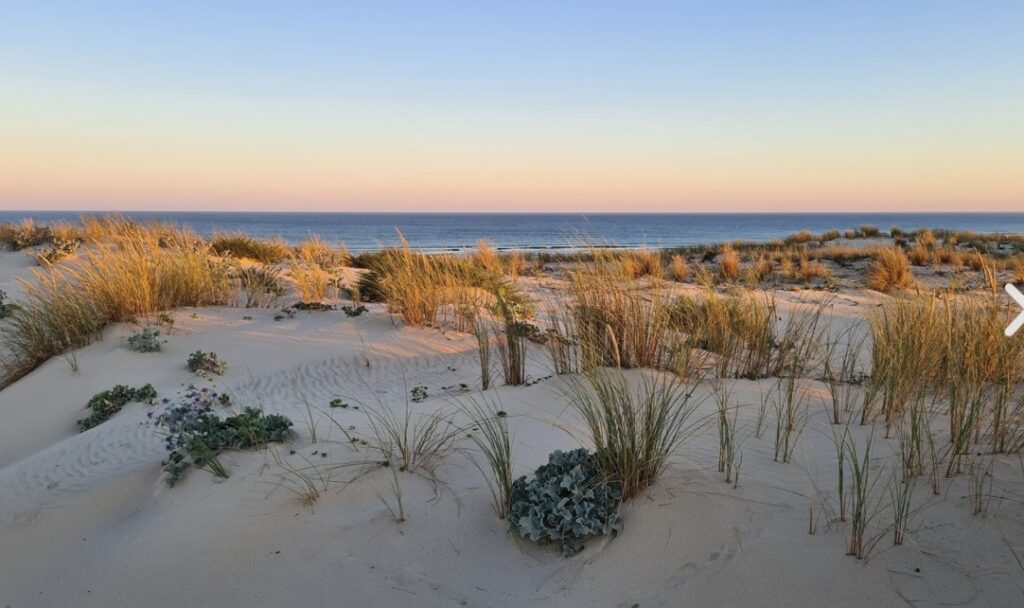 Maison meublée de 60 m² à Biscarrosse – Maison de plage MER SEA – photo 1