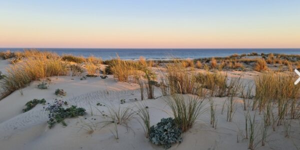 Maison de plage MER SEA